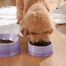Sweejar Gradient Dog Bowl, Ceramic Dog Food Dish for Medium Dogs and Cat, Porcelain Pet Bowl for Food and Water 18 oz - 漸變紫色 - 查看 3