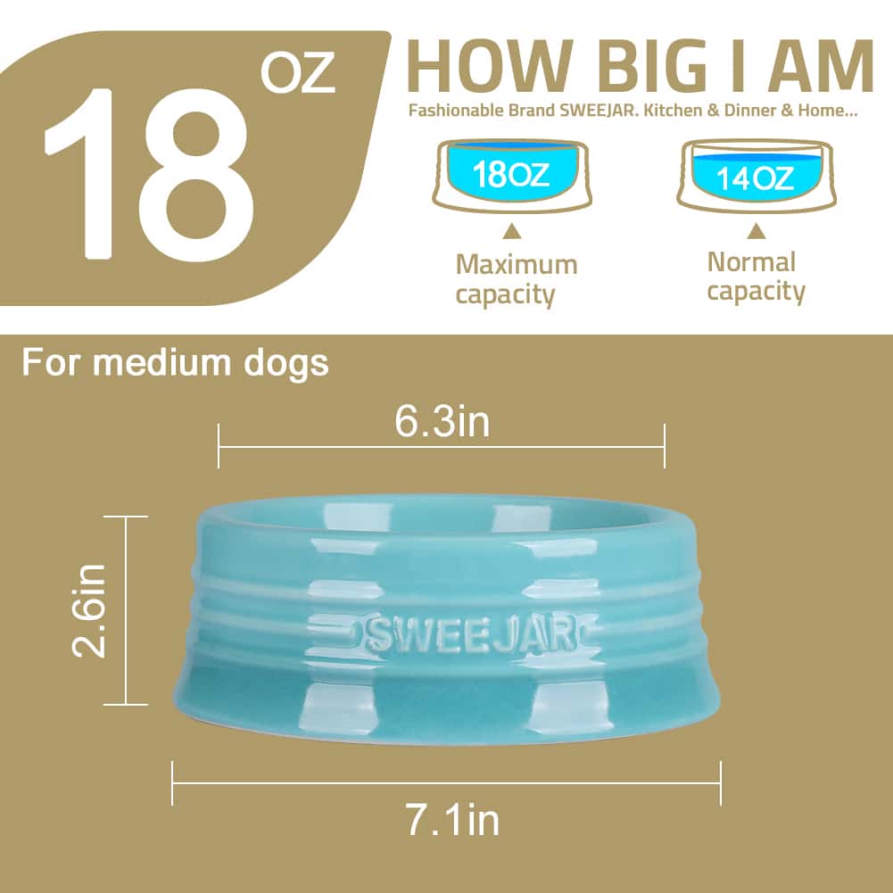 Sweejar Gradient Dog Bowl, Ceramic Dog Food Dish for Medium Dogs and Cat, Porcelain Pet Bowl for Food and Water 18 oz - 漸變橙 - 查看 5