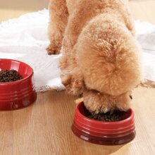 Sweejar Gradient Dog Bowl, Ceramic Dog Food Dish for Medium Dogs and Cat, Porcelain Pet Bowl for Food and Water 18 oz - 漸變紅 - 查看 3