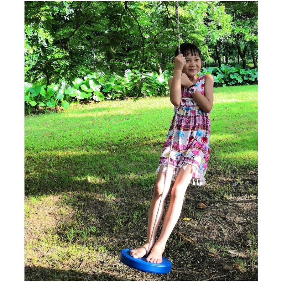 IFOYO 1 Pcs Tree Swing Disc, Rope Swing Round Kids Swing Seat Strong Disc Swing For Outdoor Backyard Playground Holds 220lbs/100kg For 3-10 Years Kids Children - Blue - View 1