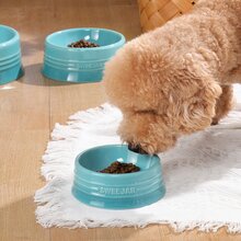 Sweejar Gradient Dog Bowl, Ceramic Dog Food Dish for Medium Dogs and Cat, Porcelain Pet Bowl for Food and Water 18 oz - 漸變藍色 - 查看 3