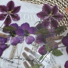 10張大尺寸透明寵物貼紙，紫色標本和植物花卉系列，藝術乾花日記裝飾材料
