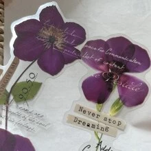 10張大尺寸透明寵物貼紙，紫色標本和植物花卉系列，藝術乾花日記裝飾材料