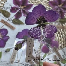 10張大尺寸透明寵物貼紙，紫色標本和植物花卉系列，藝術乾花日記裝飾材料