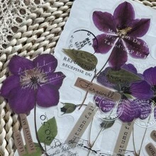 10張大尺寸透明寵物貼紙，紫色標本和植物花卉系列，藝術乾花日記裝飾材料