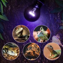 2 Pack Reptile Heat Lamp, 75W Infrared Heat Lamp Simulate Natural Moonlight, Purple Reptile Night Heat Bulb Heat Emitter for Reptile Pets Heating Night Use - 75 Watts - View 7