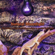 2 Pack Reptile Heat Lamp, 75W Infrared Heat Lamp Simulate Natural Moonlight, Purple Reptile Night Heat Bulb Heat Emitter for Reptile Pets Heating Night Use - 75 Watts - View 4