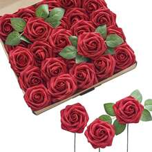 25 Red Roses - Red - View 1