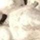 彩色
