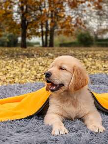 1 chiếc khăn tắm cho thú cưng có độ tương phản ràng buộc dành cho chó và mèo để giặt và tắm - Màu vàng - Xem 4