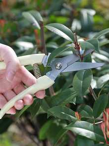 1入組不銹鋼修樹枝剪刀適用於園藝和插花 - 彩色 - 查看 2