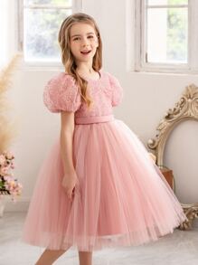 Young Girl Independence Day Puff Sleeve Embroidered Tulle Party Dress, Elegant Princess Style Dress Suitable For Girls Birthday Party, Wedding Flower Girl, Stage Performance, Holiday Celebration