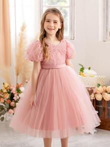 Young Girl Independence Day Puff Sleeve Embroidered Tulle Party Dress, Elegant Princess Style Dress Suitable For Girls Birthday Party, Wedding Flower Girl, Stage Performance, Holiday Celebration