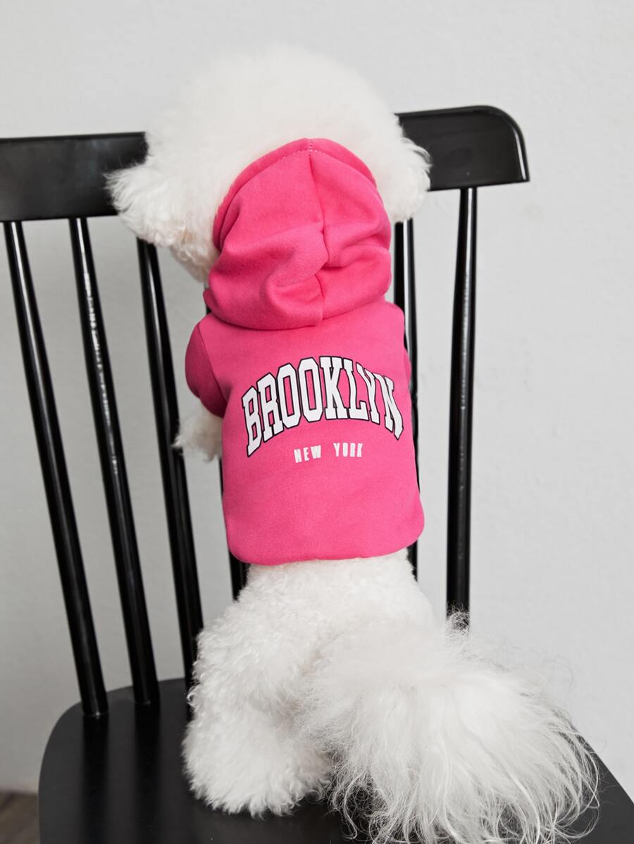 PETSIN 1pc Pet Printed Sweatshirt - Multicolor - View 1