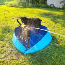 1pc Pet Swimming Pool For Small Medium Large Dog Cat For Summer Shower - Blue - View 5