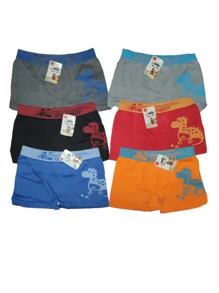 6 Pieces Boxers Elastic Underpants For Children, Shipped In Assorted Colors And Prints According To Availability. SIZE 10 Covers Sizes 10-11,,, SIZE 12 Covers Sizes 12-13. - Multicolor - View 1