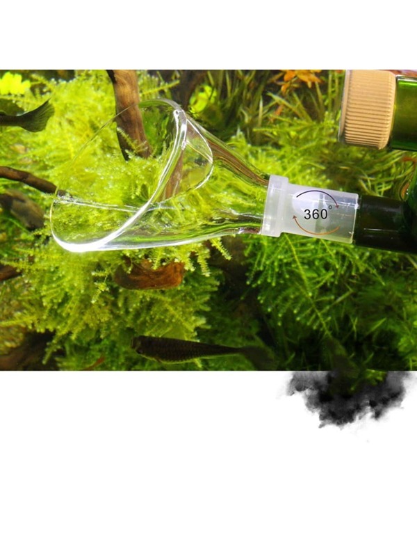 Aquarium Fish Tank Water Plant Lily Pipe Connected To Inlet Outlet