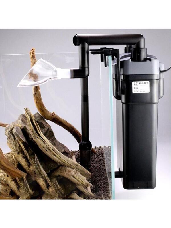 Aquarium Fish Tank Water Plant Lily Pipe Connected To Inlet Outlet