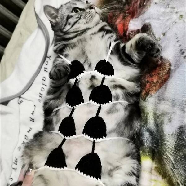 Funny Cat Clothing Roleplaying Cat Costume Jumpsuit For Festival Party