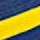 Blue/yellow