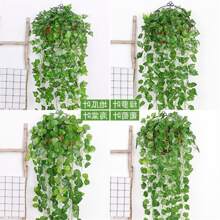 Bouquet Of Climbing Leaves With 9 Branches Of Plants - 葡萄 - 查看 2