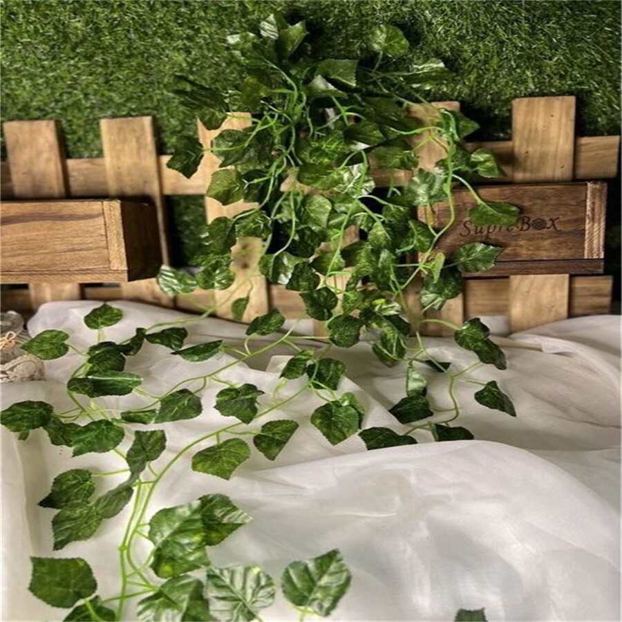 Bouquet Of Climbing Leaves With 9 Branches Of Plants - 葡萄 - 查看 1