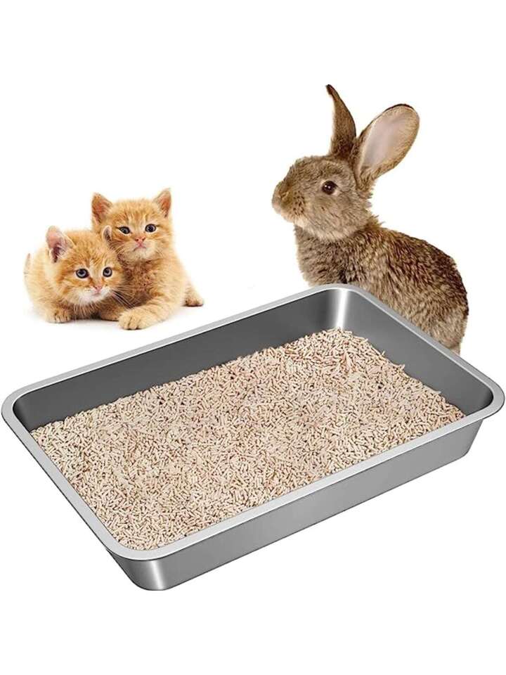 Is Cat Litter Safe For Rabbits visitchile.cl