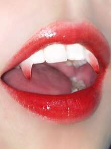 2pcs Party & Festival Fashionable Personalized Unisex Cosplay Vampire Teeth Jewelry Halloween - White - View 2