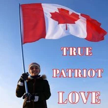 加拿大國旗3X5腳圖案100D滌綸旗帶生動顏色和黃銅扣眼 - 紅白色 - 查看 4