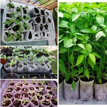 100pcs Non-Woven Fabric Seedling Bags, Plant Growth Bags, Cloth Nursery Pots, Planting Bags, Vegetable Seedling Pots, Gardening Supplies - White - View 6