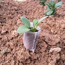 100pcs Non-Woven Fabric Seedling Bags, Plant Growth Bags, Cloth Nursery Pots, Planting Bags, Vegetable Seedling Pots, Gardening Supplies - White - View 5