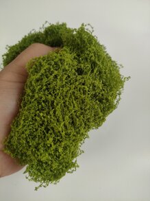 Artificial Moss String For Garden Decoration, Landscaping, Indoor Or Outdoor Use, Various Shapes Available - Mint Green - View 8