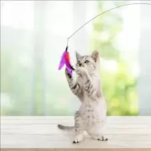 4pcs Feather Replacement Heads For Cat Teaser Wand - Blue - View 5