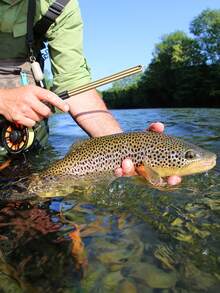 1pc Fish Hook Remover, T-Shaped Fish Hook Separator - Blue - View 3