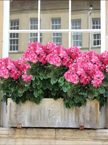 1朵粉色人造山楂花,適用於婚禮家居裝飾、餐廳攝影背景裝飾,絲質花朵 - 粉色 - 查看 9