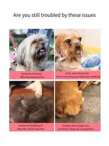 1入組寵物脫毛刷