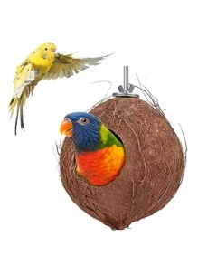 1 pieza Juguete loro nido de pájaro con coco con concha , de ardilla cría cálido Cama , coco con concha de escalera , loro - Marrón - Ver 1