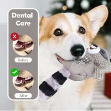 Squeaky Chew Toy Ball Pineapple Plush + Tpr Gray Raccoon Squeaky Toy - Grey - View 4