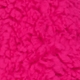 Rosa Fucsia