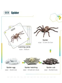 模擬動物循環模型系列盒帶蝸牛,青蛙,蚯蚓,蚊子,蜘蛛和瓢蟲適用於孩子們的教育和認識 - 米色 - 查看 6