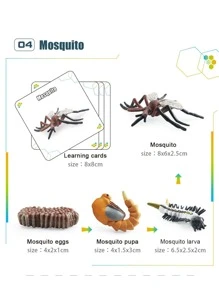 模擬動物循環模型系列盒帶蝸牛,青蛙,蚯蚓,蚊子,蜘蛛和瓢蟲適用於孩子們的教育和認識 - 米色 - 查看 7