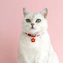 紅色的花卉圖案寵物項圈 - 紅色 - 查看 2