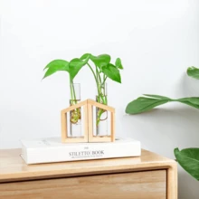 A Set de vidrio transparente Florero con tubo de ensayo Florero para hidropónico plantas , con planta estante con de madera Marco , puede ser como A Decoración para escritorios , , con Bonsái - transparente - Ver 2