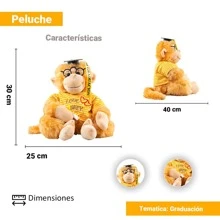 Chango De Peluche Mono Graduación Con Birrete Regalo Infantil - Naranja - Ver 2