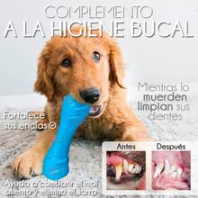 Juguete De Goma Hule Caucho Resistente Con Sonido Chillón Para Mascotas Perros Juegos Juguetes Interactivo - Azul - Ver 3