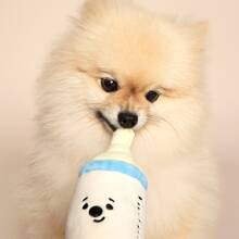 Dog Toy Baby Milk Bottle with Paper Ruffles Sound, Pacifier & Rattle for Puppies & Dogs - Apricot - View 6