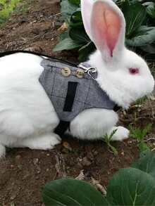 Pet Suit With Braces - Grey - View 2