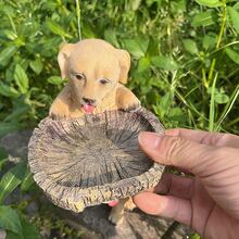 Dog Sculpture, Garden Decor - Yellow - View 4
