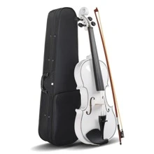 Full Size 4/4 Violin Set for Adults Beginners Students with Hard Case,Violin Bow,Shoulder Rest,Rosin,Extra Strings and Sordine - 白色 - 查看 2