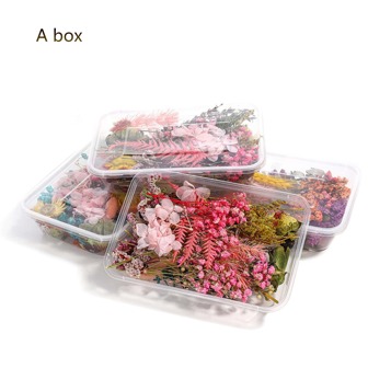 1box Random Mixed Preserved Floating & Dried & Everlasting Flower For Diy Miniature Floral Material, Resin Filling, Pressed Flower Crafting